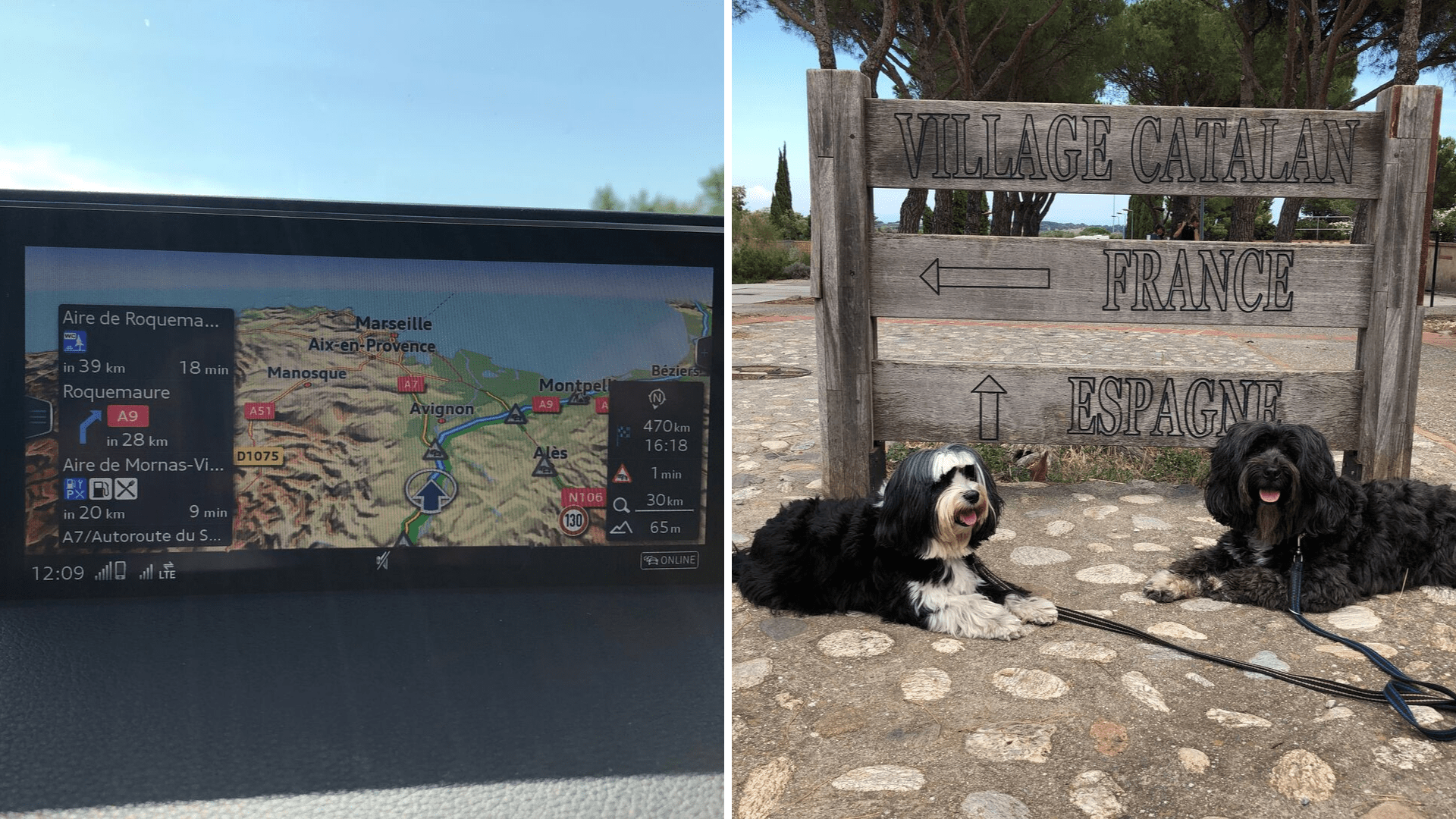 Dogs posing next to border between France and Spain
