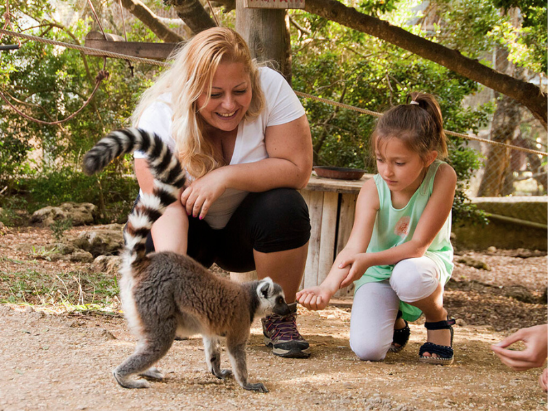 Top things to do in Menorca 2026 - Visit the Zoo